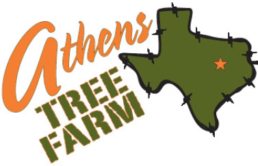 Athens Tree Farm Trees For Sale In North East Texas